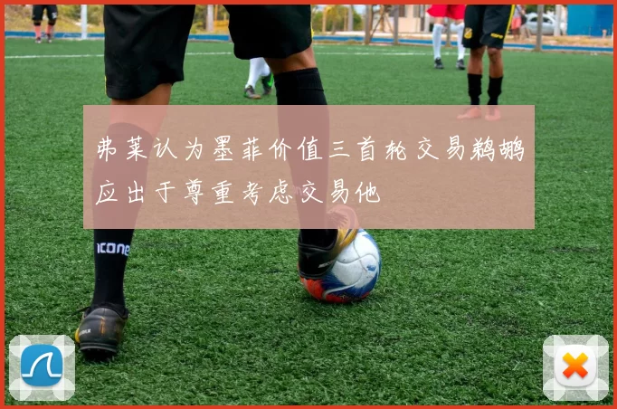 弗莱认为墨菲价值三首轮交易鹈鹕应出于尊重考虑交易他